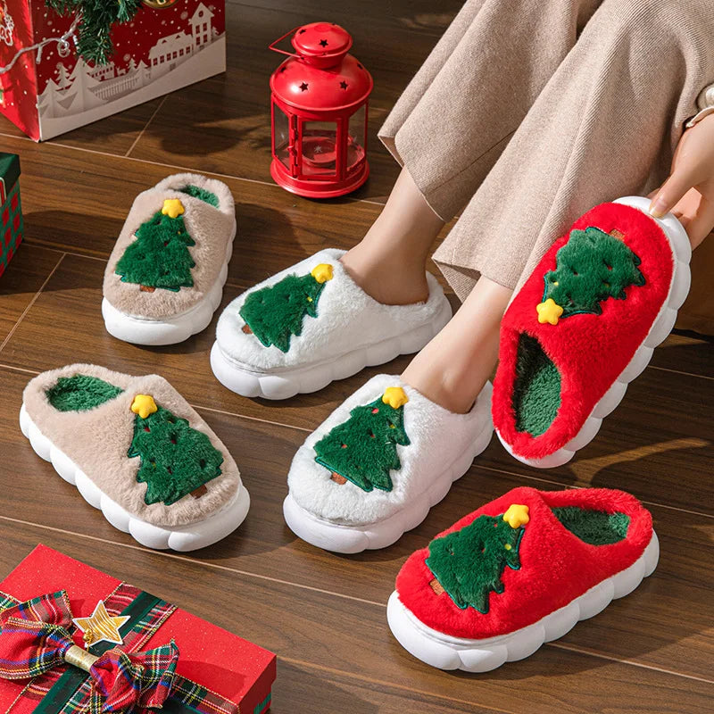 Chaussons Noël | Sapin -  Chaussly